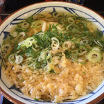 Marugame Seimen Kyotango Ten - かけうどん