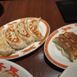 Benitora Gyoza Bo Nigata Ten - 