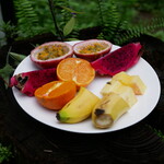 Yakushima Fruits Garden - 