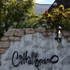 CITTA GRANO - 