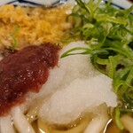 Marugame Seimen Kyubikkupuraza ShinYokohama Ten - 