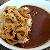 Yoshinoya Nijugosen Tenri Ten - 肉だく 牛黒カレー