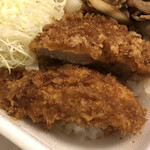 Katsuya Mie Suzuka Ten - 豚ロースタレカツと牛焼肉の合い盛り丼715円