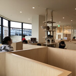 Cat Café MOFF - 