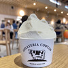 GELATERIA COWCOW - 