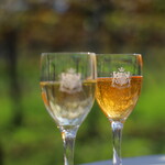 Lumiere Winery - 