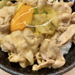 Densetsu no Sutadon Ya Wing Kitchen Kanazawa Hakkei Ten - すた丼