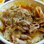 Sukiya Nara Tomi O Ten - 豚丼(並)