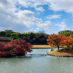 Okayama Korakuen Fukuda Chaya - 景色最高