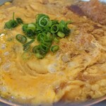 かつ丼元宇治 - 