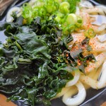 Seimen Shichi Ya Hon Ten - かけうどん小