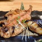 Sushi Kappou Satomi - 