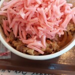 Sukiya Tondabiyashi Koganedai Ten - 紅しょうがだく牛丼