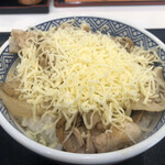 Yoshinoya Yokaichintaten - 