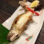 酒肆魚処 やまなみ - 