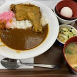 Sukiya Sendai Iwakiri Ten - ほろほろチキンカレー(並盛)680円