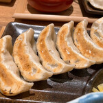 Nikujiru Gyoza no Dandadan Oita Ten - モチモチジューシーな焼餃子