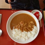 Fukushima Matsukawa Parking Area (Kudari) - カレーライス