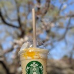 Ｓｔａｒｂｕｃｋｓ Ｃｏｆｆｅｅ Shinjuku Minamiguchi Ten - 