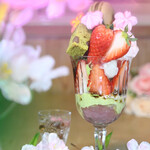 Cafe Garden P.o.t - 