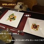 Tamayura no Kaze - 《[Dog Menu]スペシャルドッグコース(ﾊｰﾌｻｲｽﾞ)》♨
                      《ハイボール(ｼﾝｸﾞﾙ) 》♨ 夕食《前菜》♨