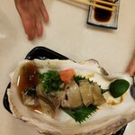 Taro Bo Zushi - 