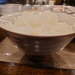 ステーキハウス 牛の松阪 - ライス大盛り。丼サイズを横から。