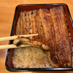 Unagi Hasunuma - 