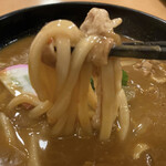 Akishima Onsen Yuraku no Sato Akishima Ten - うどんは、冷凍讃岐うどんのようなつるんとした食感。飛び散らせないように、細心の注意を払って持ち上げる。この後、もう少し持ち上げたところで悲劇は起きた…