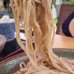 Teuchi Soba Dokoro Saga - 口当たりと喉越しが良い手打ち蕎麦ですよ！