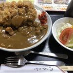 Sagano - カツカレー小 (950円)