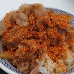 Yoshinoya Ichigosen Motoichiba Ten - 