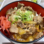 Gamagoori Shiyakusho Shokudo - 牛丼 ５００円