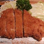 Tonkatsu Nishiki - 