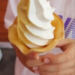 Toretore Soft serve ice cream - みかん&牛乳ソフト 350円