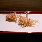 Tempura Kondo - 