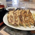 Kasago Hamamatsu Gyoza - 