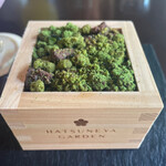 HATSUNEYA GARDEN CAFE - 