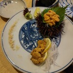 Yatsuko Zushi - 愛媛内　雲丹の２種食べ比べ。殻に乗ってる方が甘みが強く滑らかな口当たり!