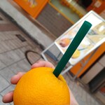 Orange Iru - 