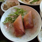 Restaurant Yamazakura - 春巻