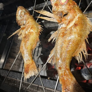 焼き物の逸品のどぐろ！