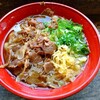 岳の信太郎めん 立喰庵 - 肉うどん大盛