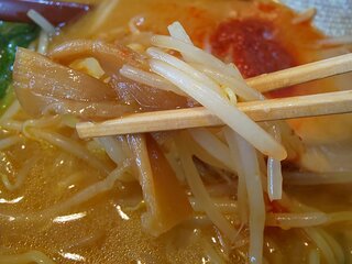 Sapporo Ramen Kumakko - モヤシとメンマがいいですね