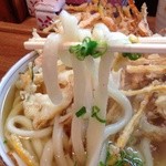 Nakano Ya - かき揚げうどんアップ