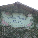 Moe's Cafe Sateenkaari - 