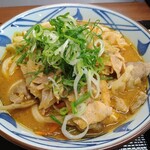 Marugame Seimen Kawasaki Uma Kinu Ten - 俺たちの豚汁うどん〈並〉