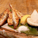 Satsuma × Robata Tomoshibi - 