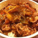 Sukiya Foreo Sendai Miyanomori Ten - 【カレー南蛮牛丼】