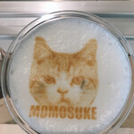 Cat Café MOFF - 